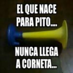 EL QUE NACE PARA PITO…