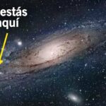 ESTADO DE SITUACIÓN 2025